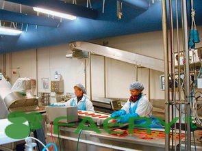 法布瑞克機械產品概覽與法律注意事項